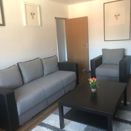 Apartament Belvedere Călimăneşti Exteriér fotografie
